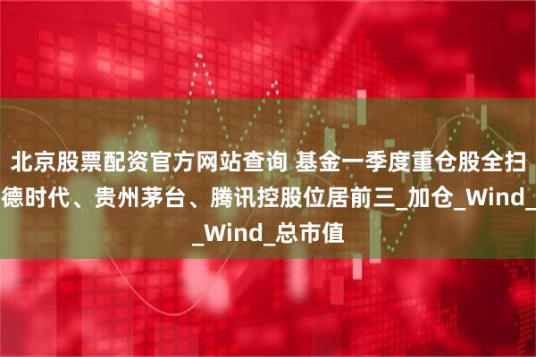 北京股票配资官方网站查询 基金一季度重仓股全扫描：宁德时代、贵州茅台、腾讯控股位居前三_加仓_Wind_总市值