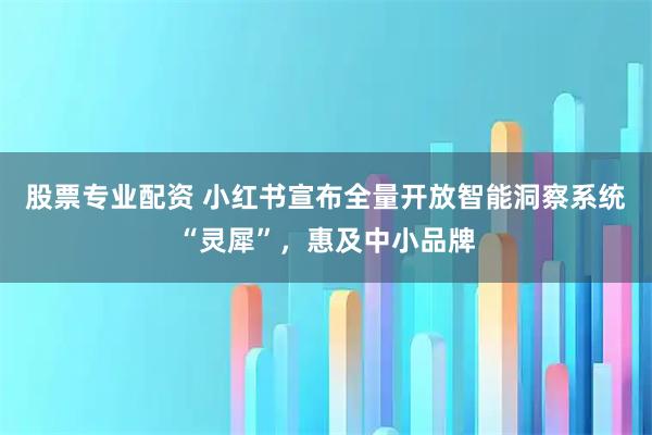 股票专业配资 小红书宣布全量开放智能洞察系统“灵犀”，惠及中小品牌
