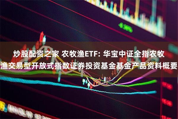 炒股配资之家 农牧渔ETF: 华宝中证全指农牧渔交易型开放式指数证券投资基金基金产品资料概要